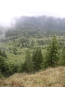 Saddle Mountain Oct 9 2005 016 